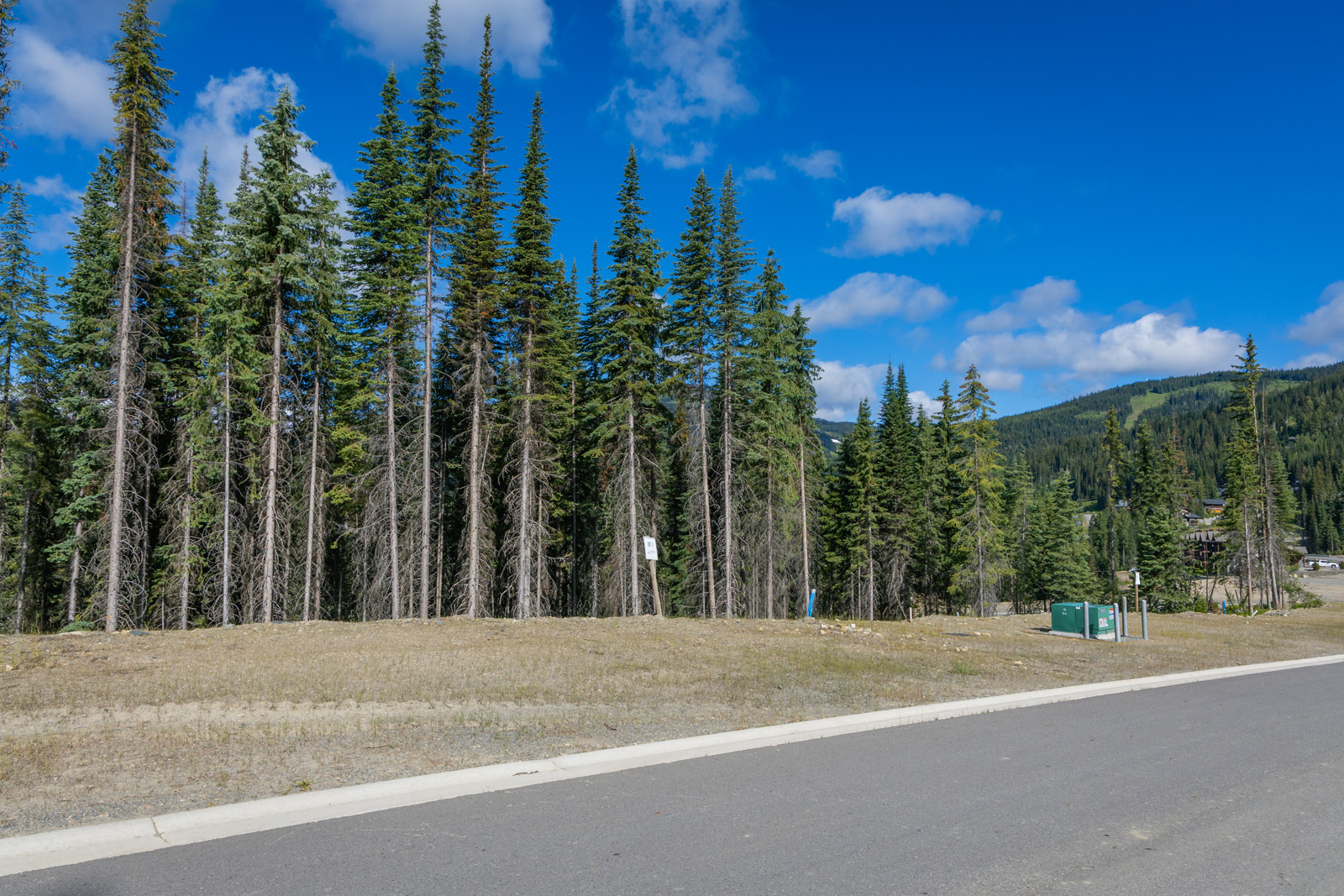 Street view of Lot 10 at Alder Estates in Sun Peaks