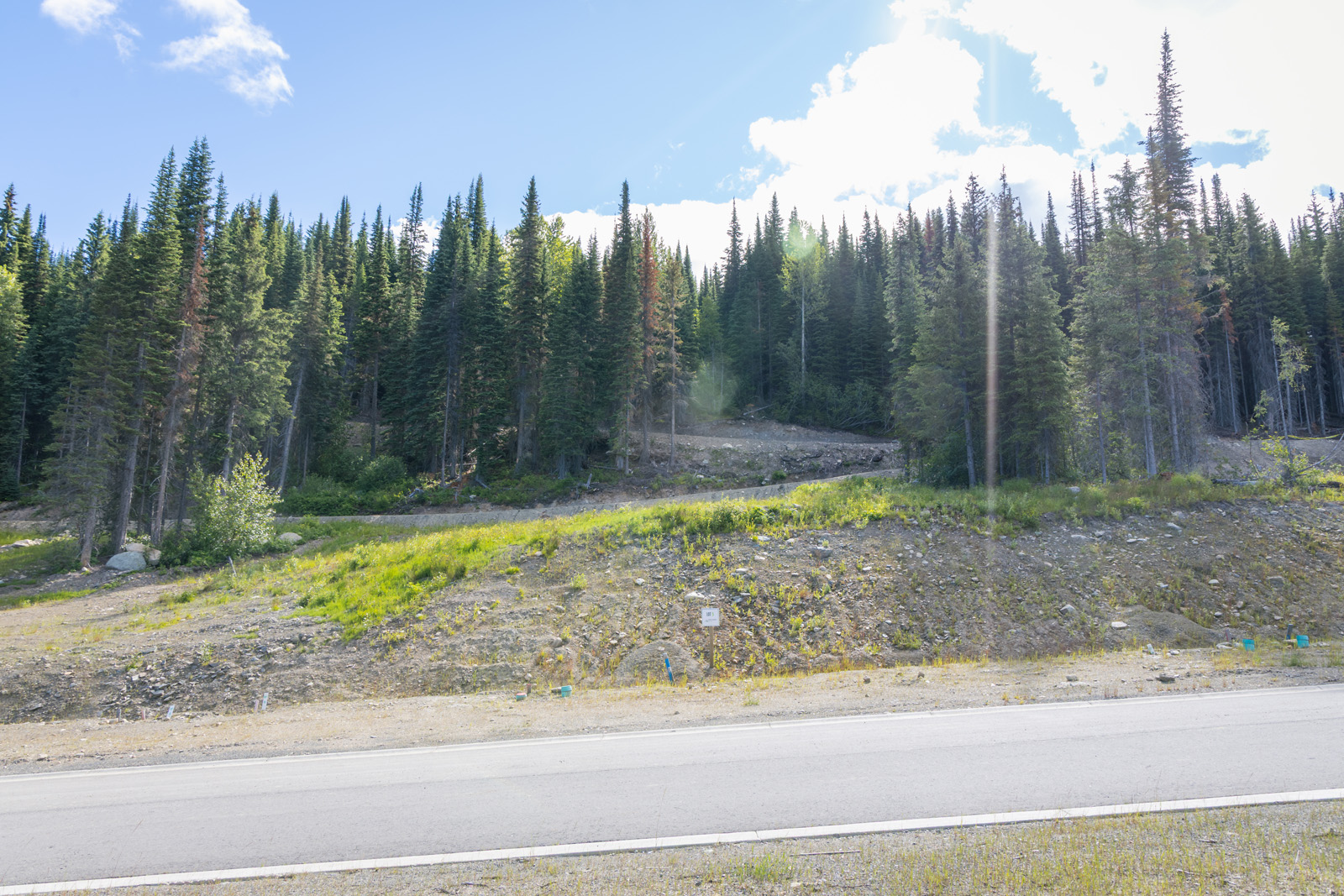 View from Lot 10 at Alder Estates in Sun Peaks