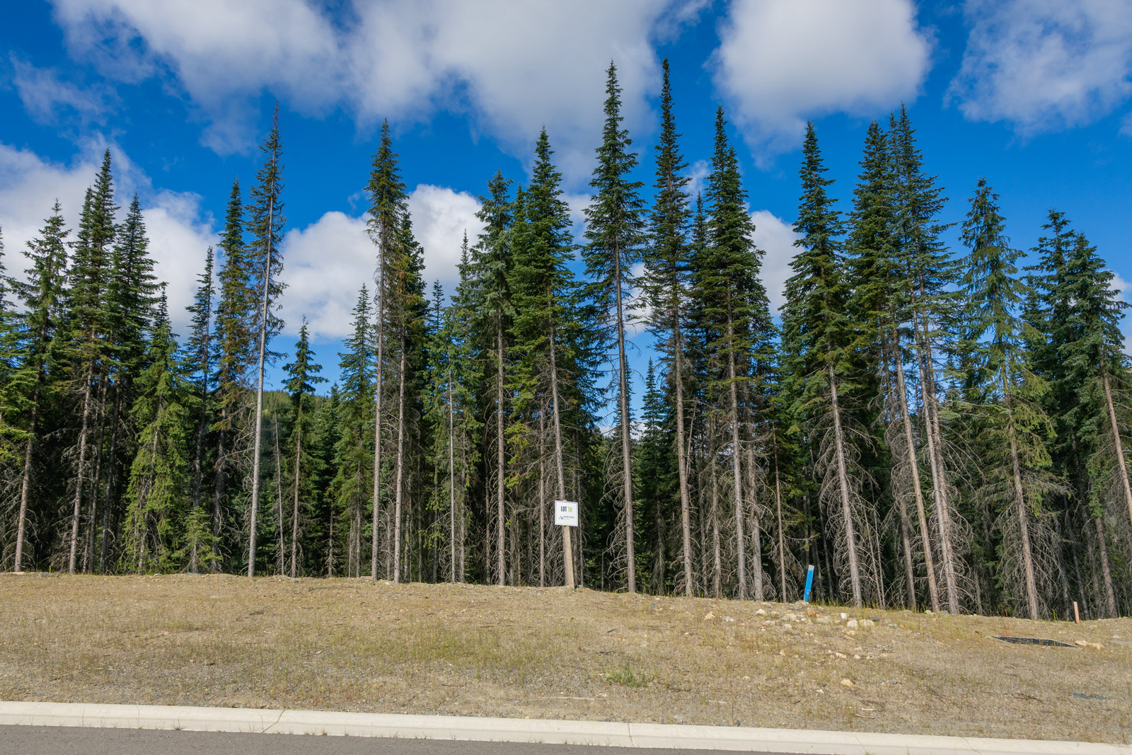 View of Lot 10 at Alder Estates in Sun Peaks