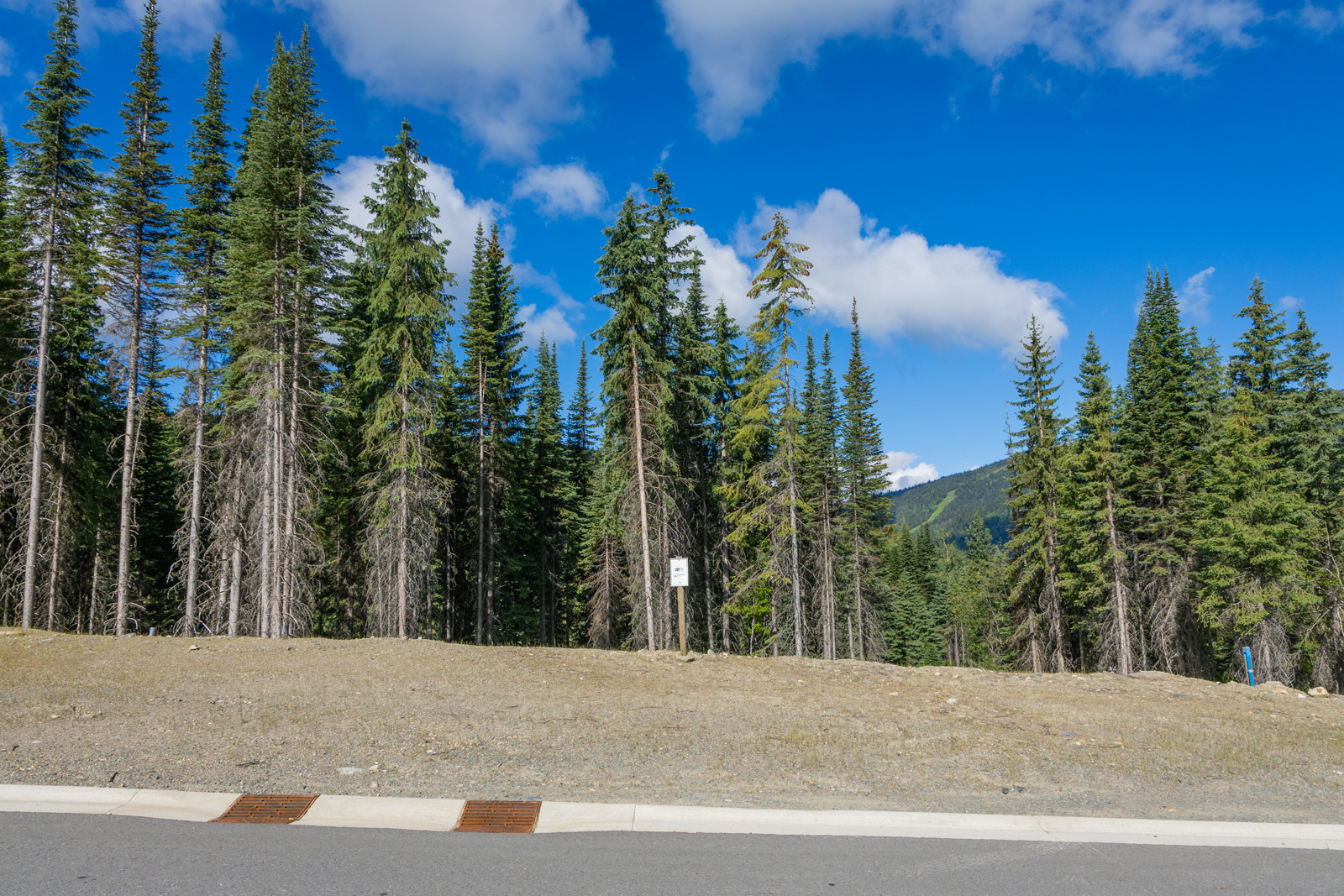 View of Lot 11 at Alder Estates in Sun Peaks