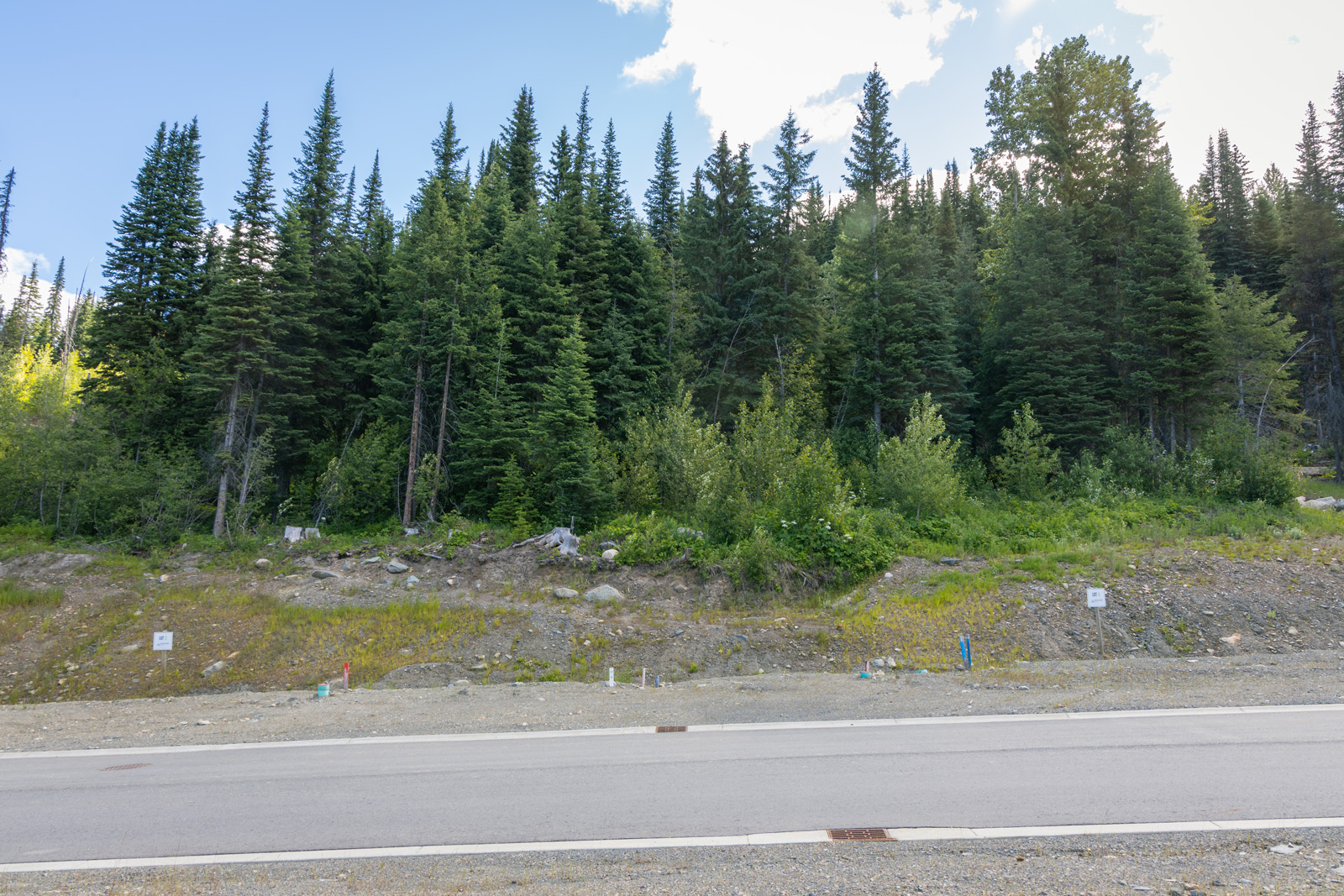 View from Lot 12 at Alder Estates in Sun Peaks