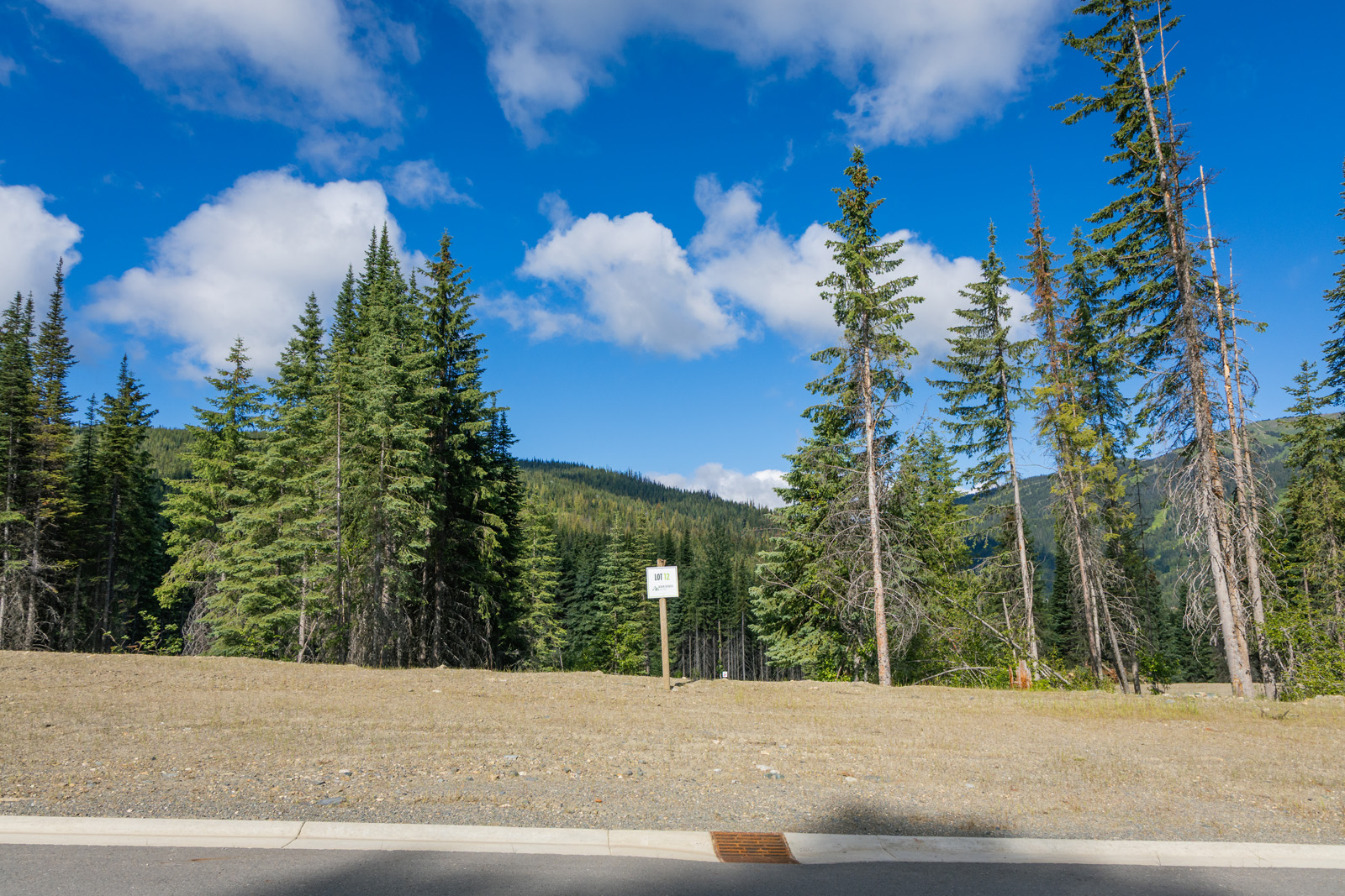 View of Lot 12 at Alder Estates in Sun Peaks