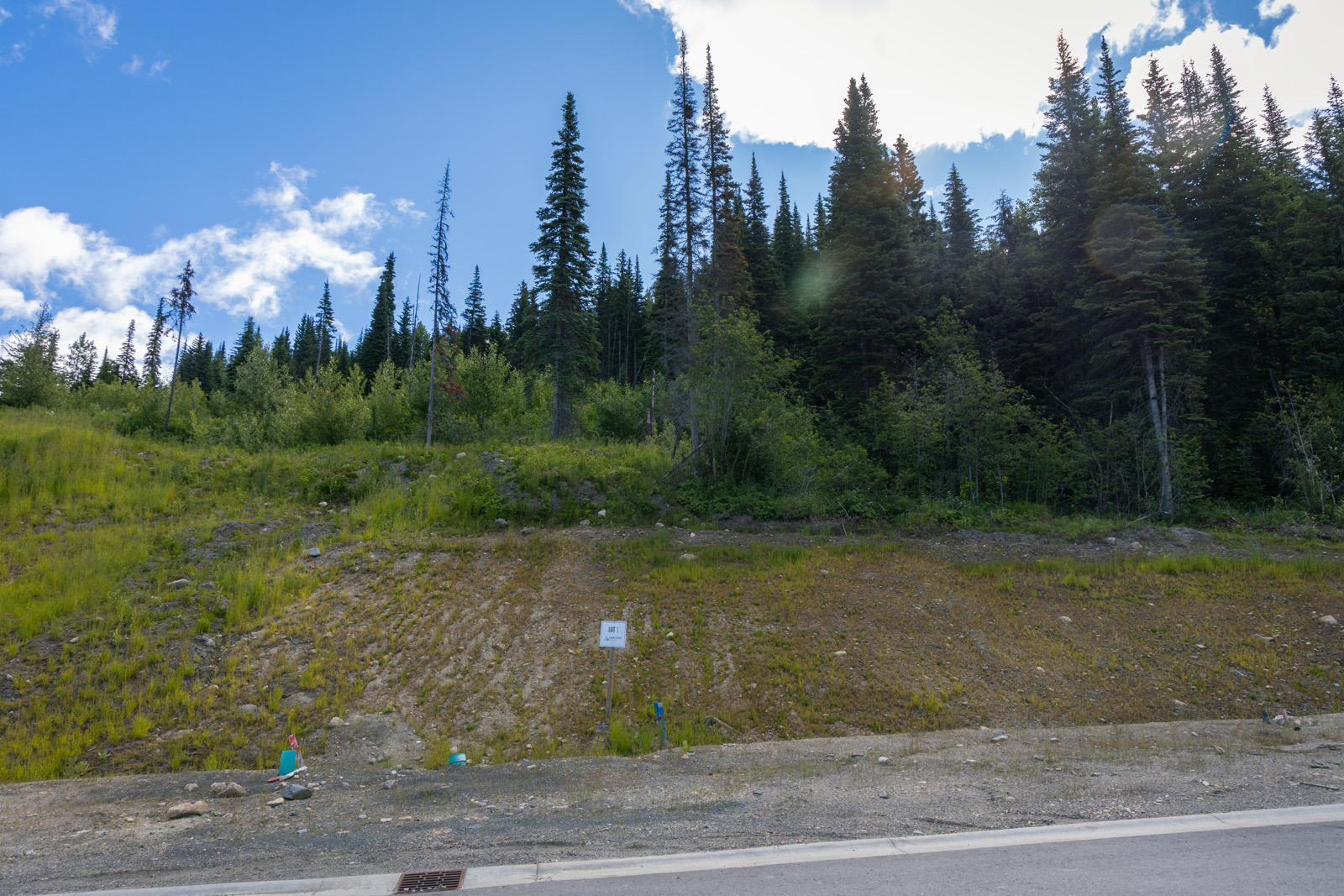 View of Lot 1 at Alder Estates in Sun Peaks