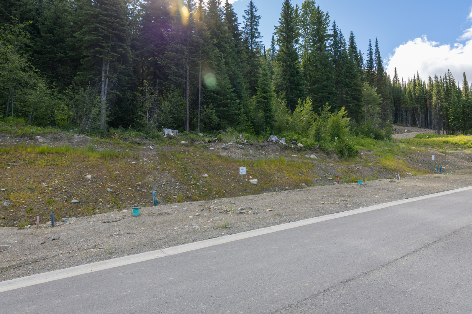 Street view of Lot 2 at Alder Estates in Sun Peaks