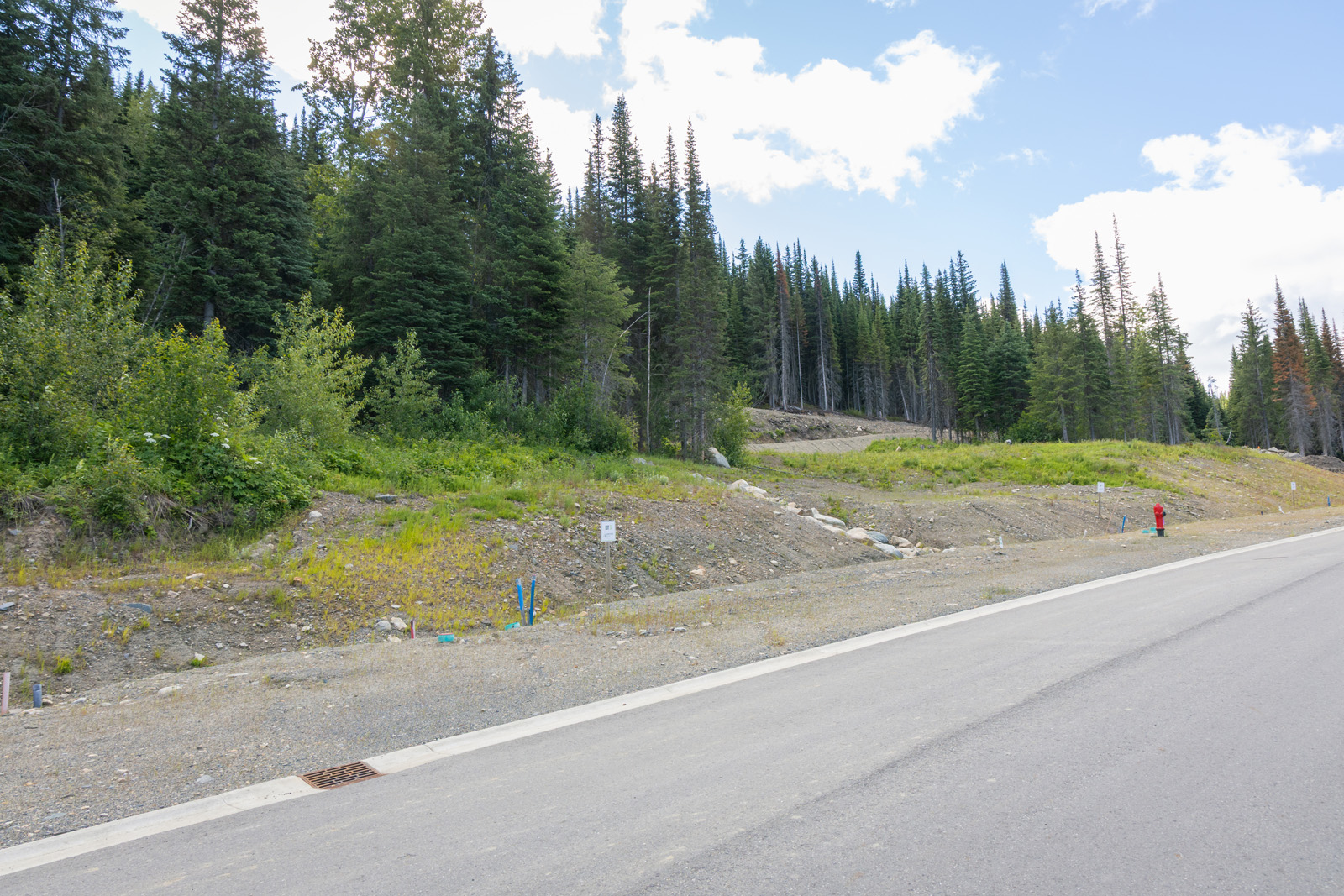Street view of Lot 3 at Alder Estates in Sun Peaks