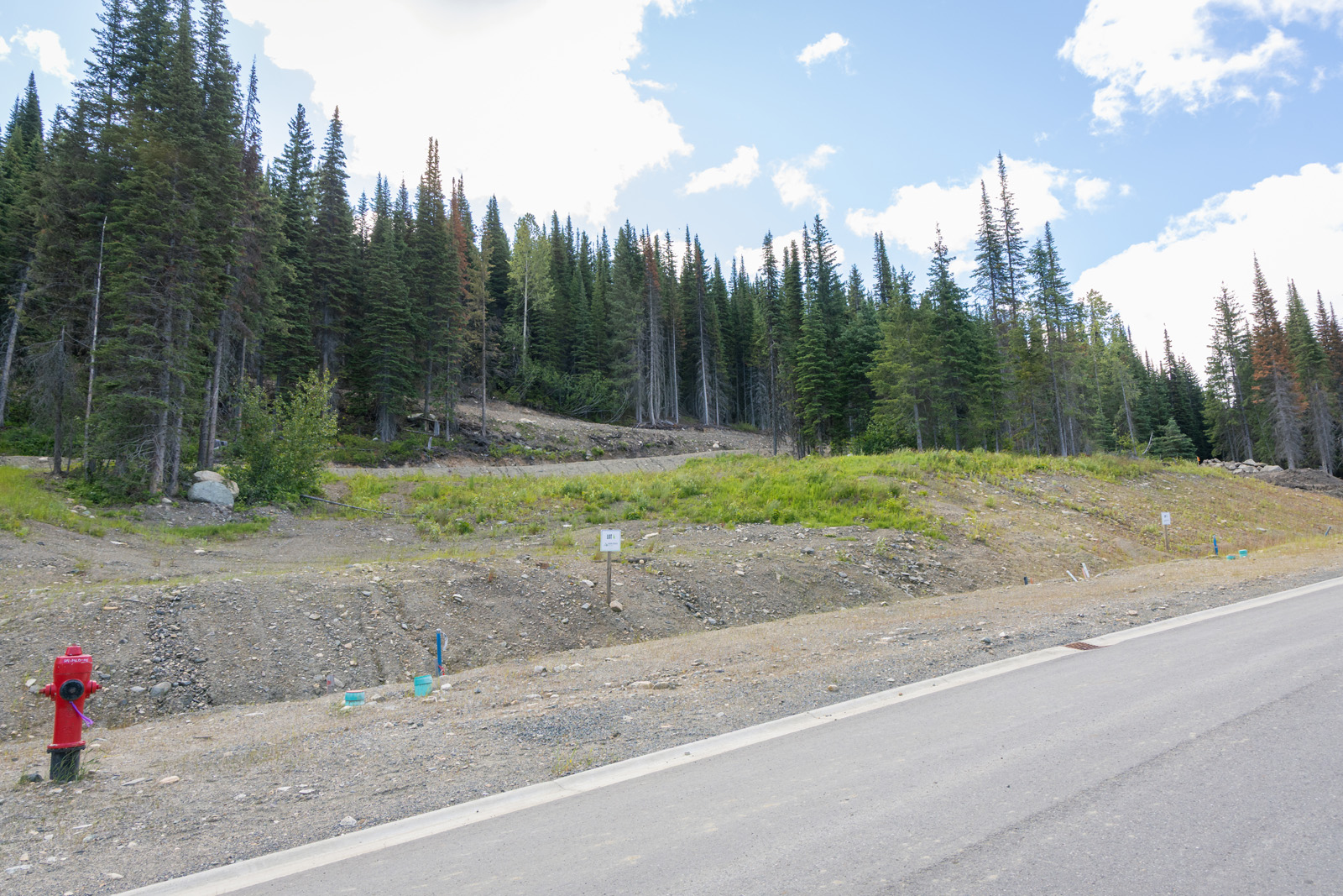 Street view of Lot 4 at Alder Estates in Sun Peaks