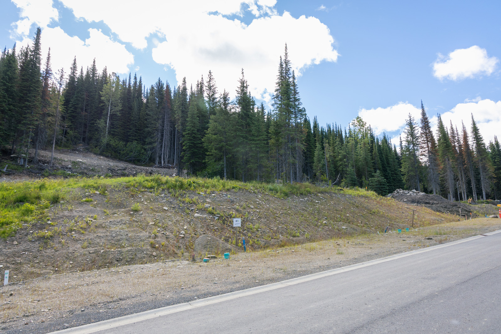 Street view of Lot 5 at Alder Estates in Sun Peaks