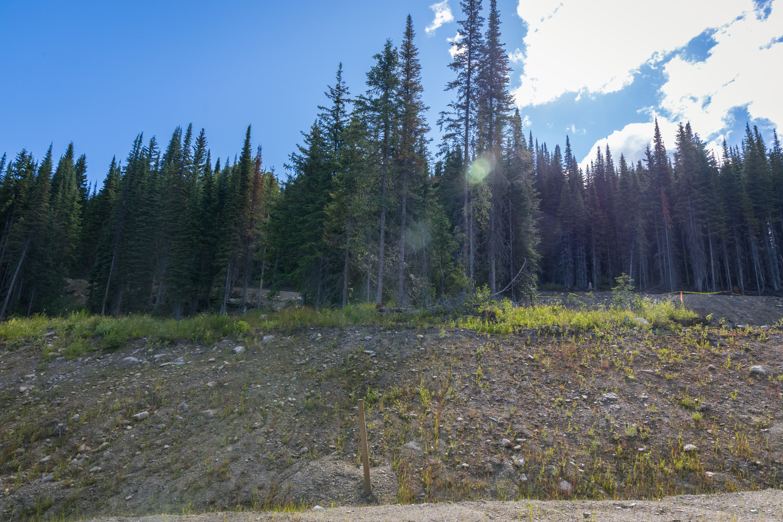 View of Lot 6 at Alder Estates in Sun Peaks