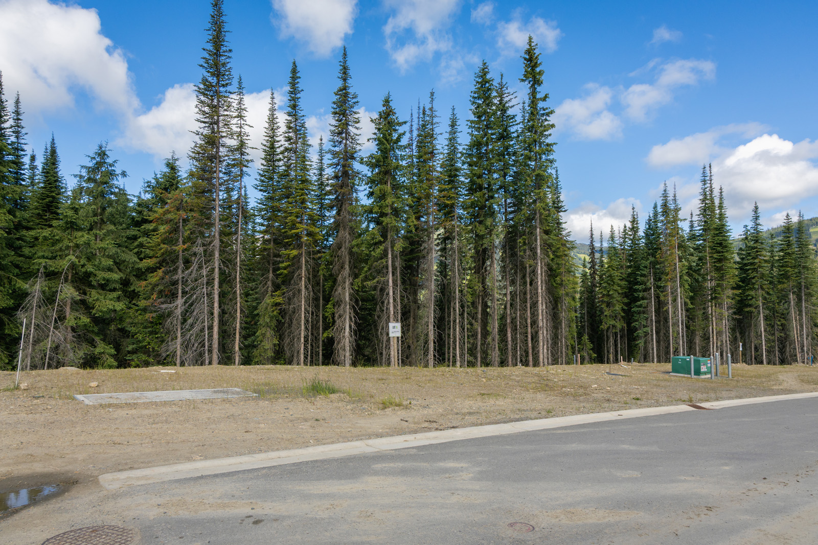 Street view of Lot 8 at Alder Estates in Sun Peaks