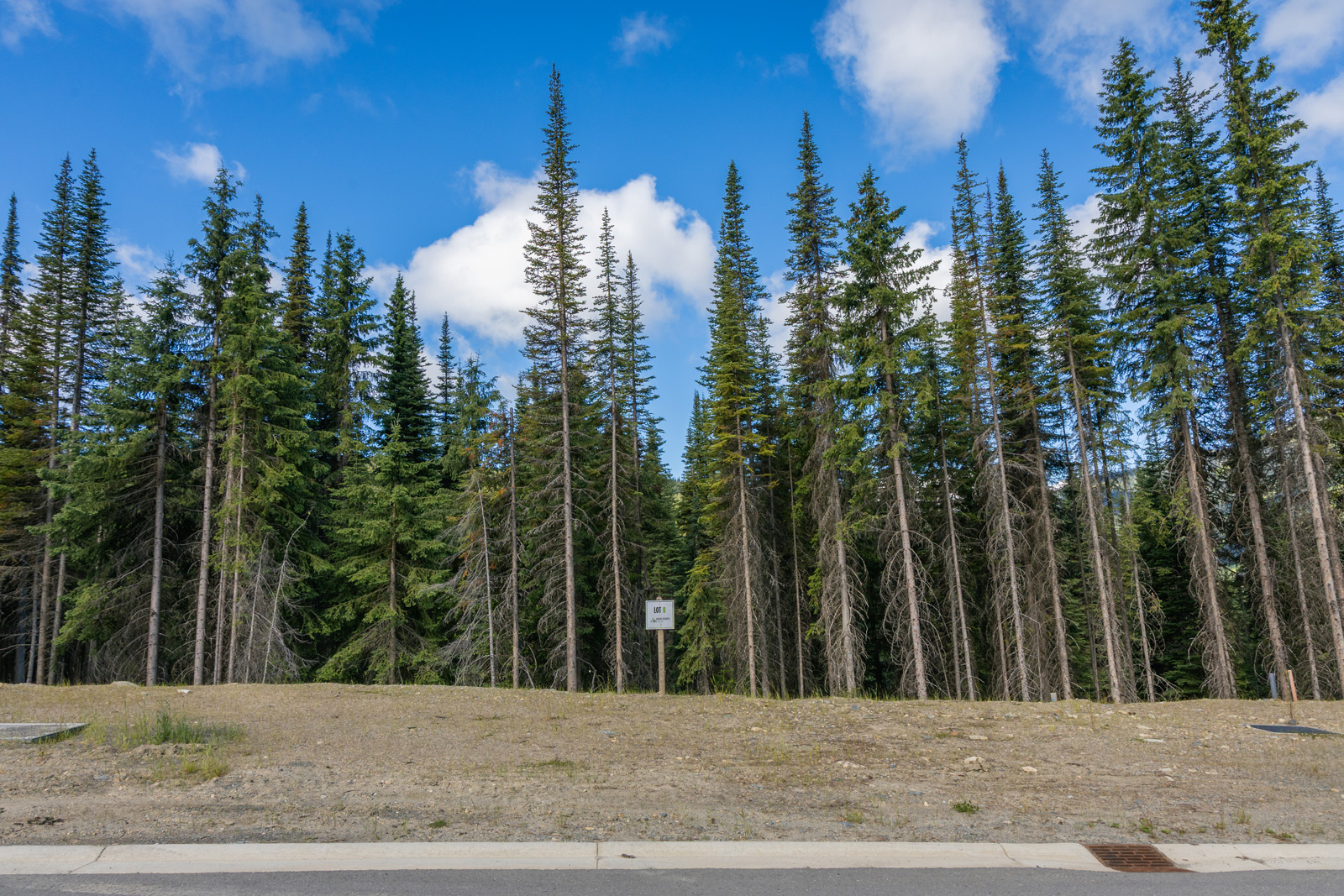 View of Lot 8 at Alder Estates in Sun Peaks