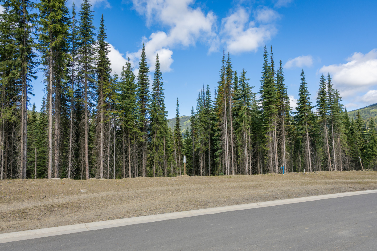 Street view of Lot 9 at Alder Estates in Sun Peaks