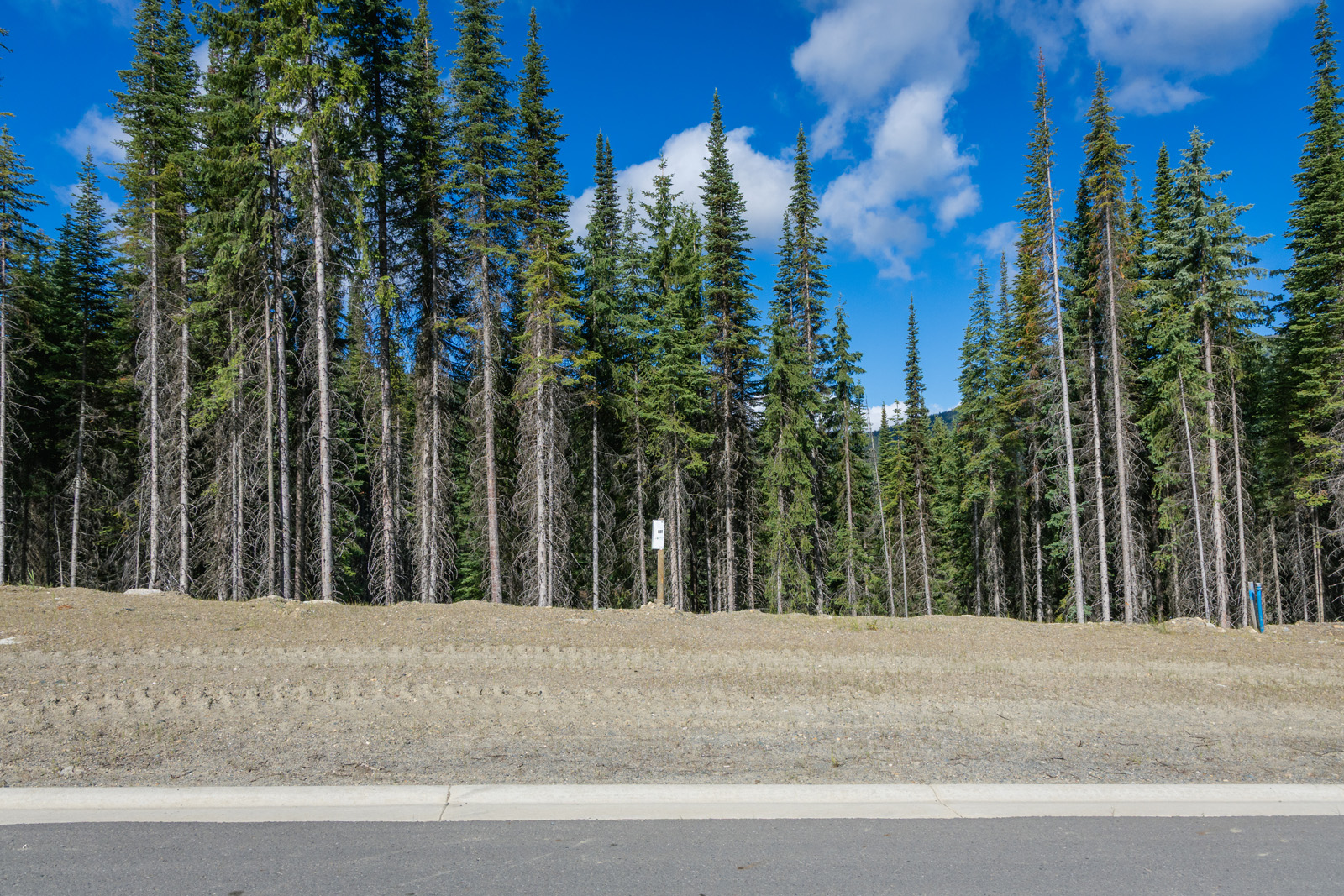 View of Lot 9 at Alder Estates in Sun Peaks